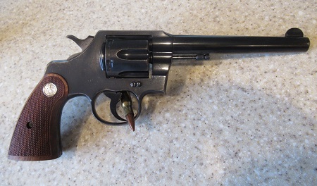 Colt 032722 rs scaled.JPG